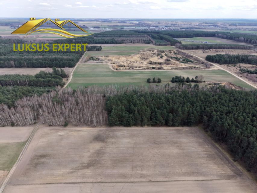 Działka leśna Chobanin