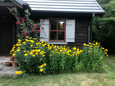 Dom Chojno-Błota Małe