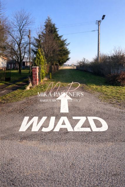 Zdjęcie 3