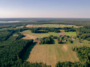 Działka budowlana Skrzynka