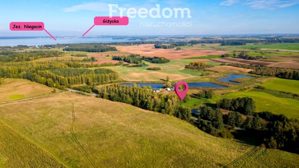 Działka przy lesie