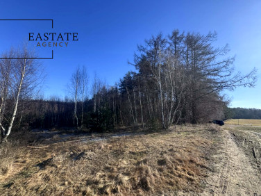 Działka usługowa Pierwoszyno