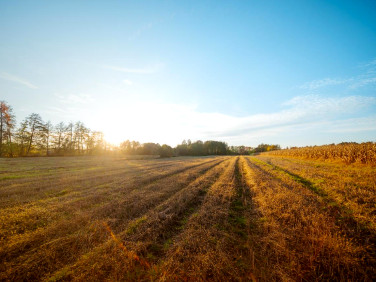 Działka poniatowice