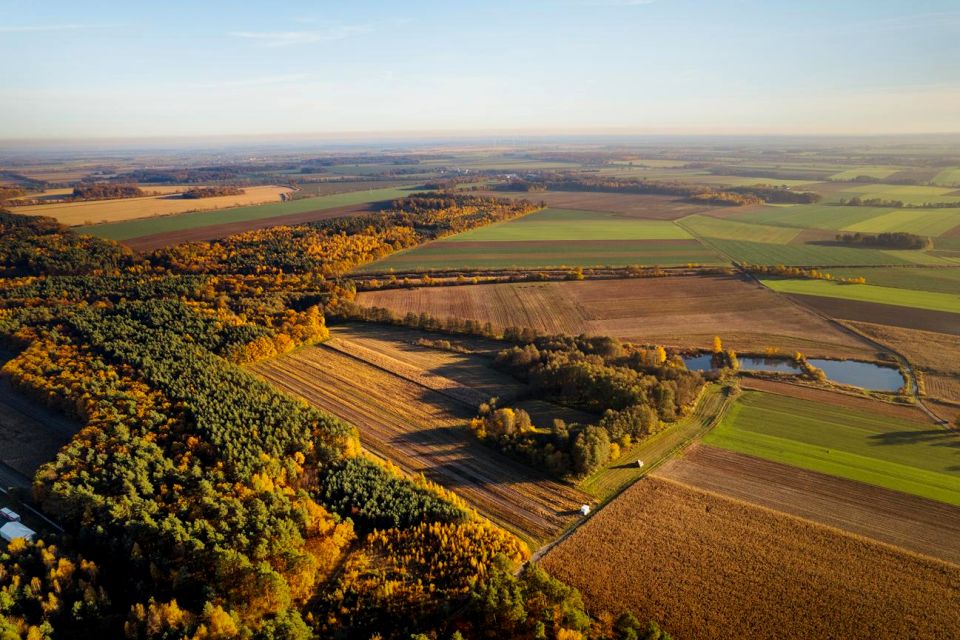 Działka przy lesie