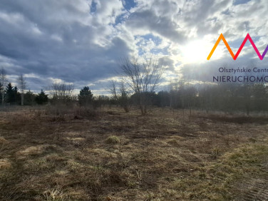 Działka usługowa Łukta