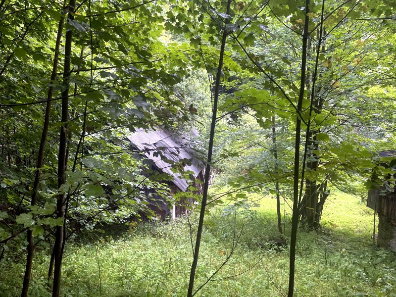 Działka siedliskowa Wisła