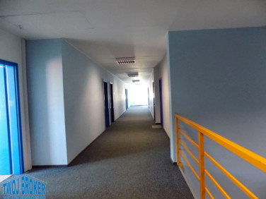 Lokal Pruszcz Gdański