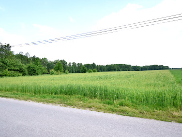 Działka budowlana Policzna