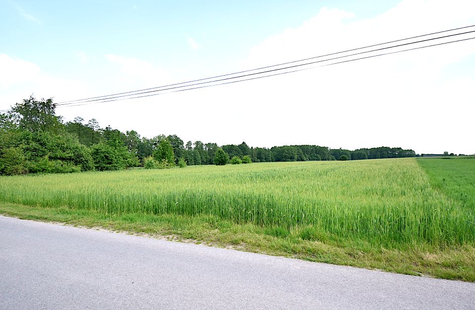 Działka budowlana Policzna