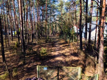 Działka Rosanów