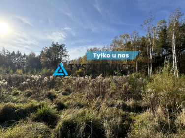 Działka budowlana Otomin