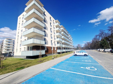 Mieszkanie Zielona Góra