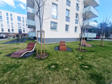 Mieszkanie Zielona Góra