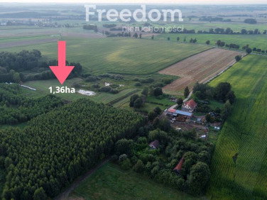 Działka rolna Przezmark