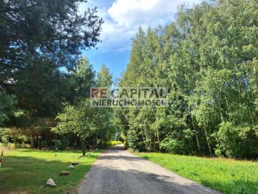 Działka siedliskowa Mariew