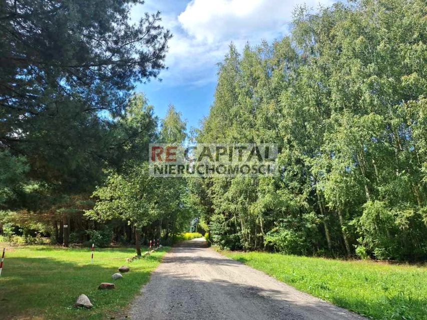 Działka siedliskowa Mariew