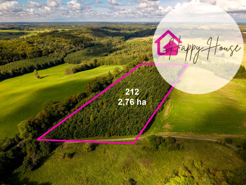 Działka leśna Kalisty