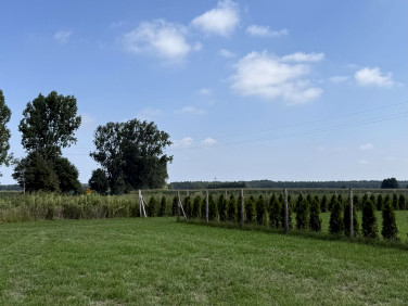 Działka budowlana Żabno