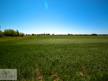 Działka budowlana Janowice