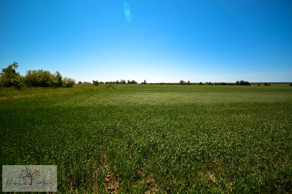 Działka budowlana Janowice