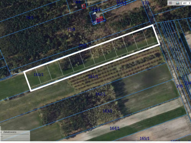 Działka rekreacyjna Helenów