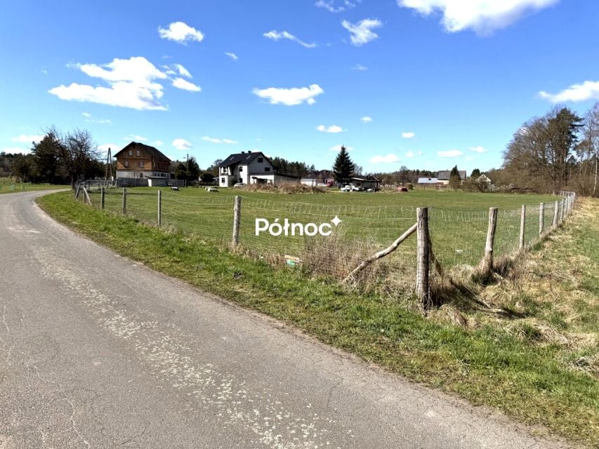 Zdjęcie 3