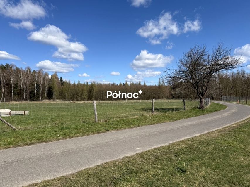 Zdjęcie 2