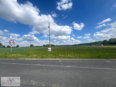 Działka budowlana Piorunów