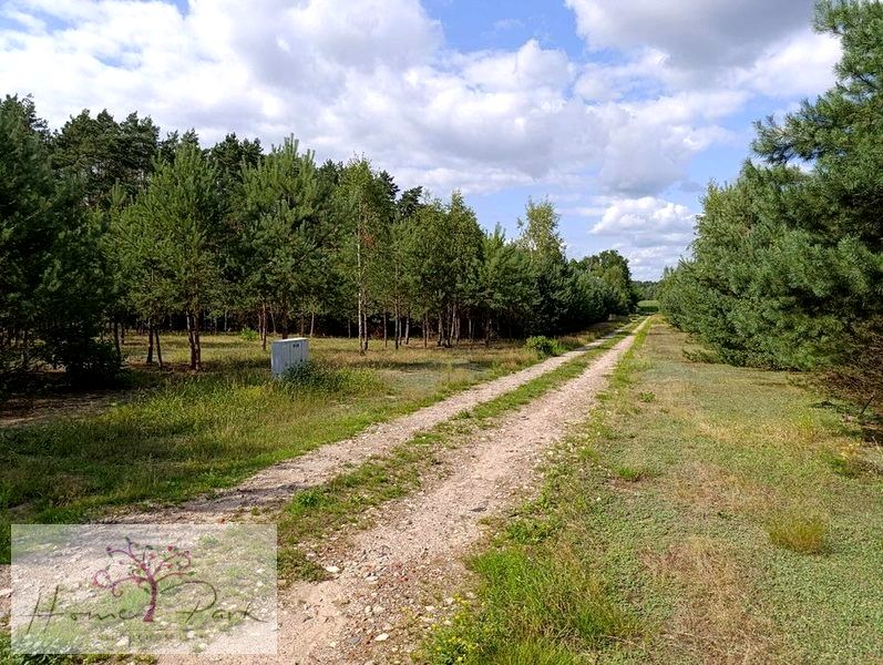 Pusta działka Ludowinka