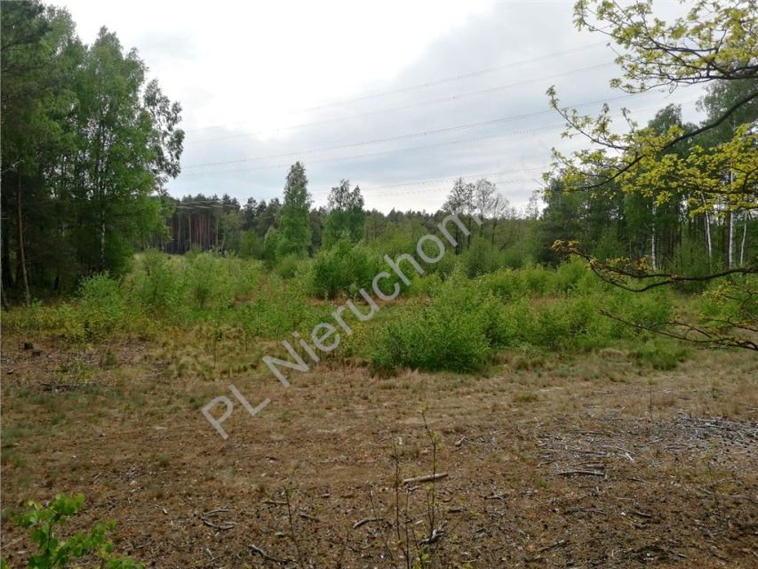 Działka budowlano-rolna Kąty-Borucza