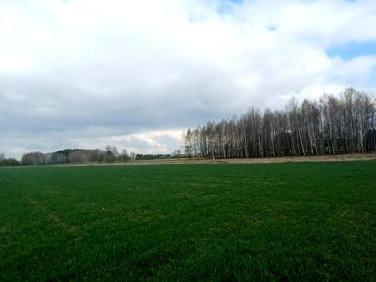 Działka Świerzowa Polska