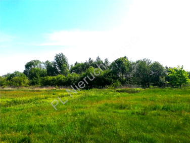 Działka budowlana Stanisławów