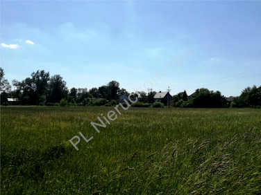 Działka budowlana Wólka Czarnińska