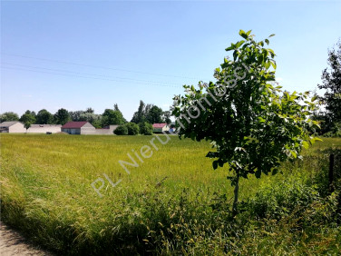Działka Wólka Czarnińska