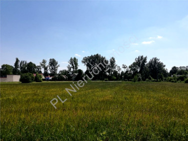 Działka budowlana Wólka Czarnińska