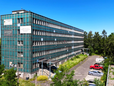 Lokal Dąbrowa Górnicza