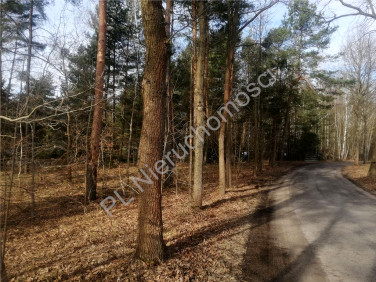 Działka Zalesie