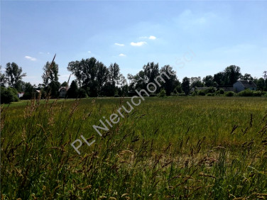 Działka Wólka Czarnińska