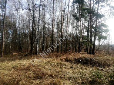 Działka budowlana Suchowizna