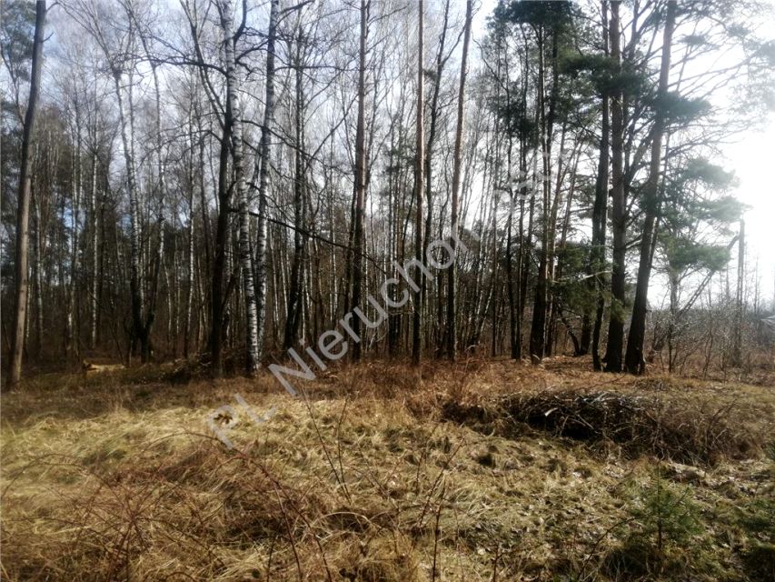 Działka budowlana Suchowizna