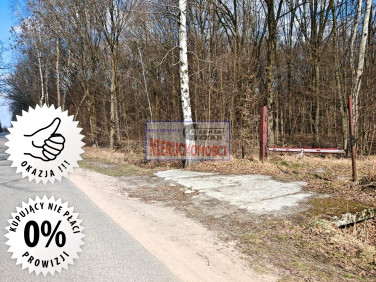 Działka budowlana Anielew