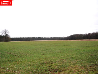 Działka budowlana Brzezinka