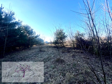 Działka budowlana Jadwinin