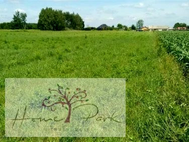 Działka budowlano-rolna Rydzyny