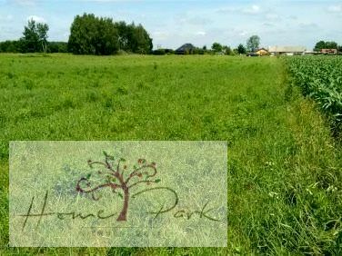 Działka budowlano-rolna Rydzyny