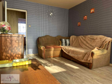 Mieszkanie Ksawerów