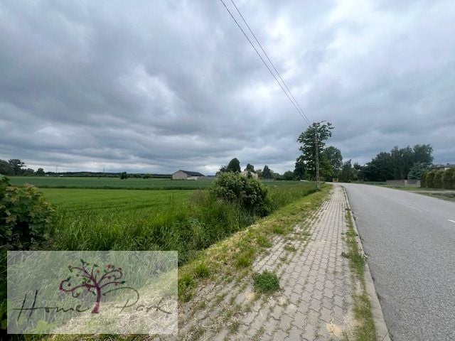 Zdjęcie 3