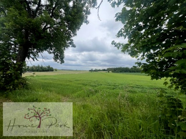 Działka budowlana Kruszów