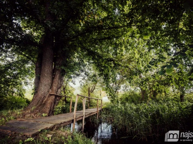 Pusta działka Rudnica