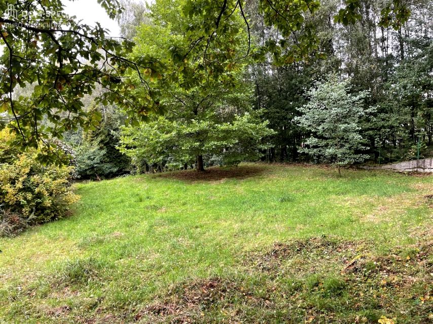 Działka budowlana Wodzisław Śląski